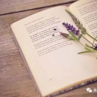相約夏季，在奧邦邂逅書香